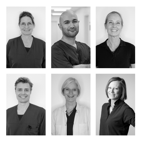 Kollage med portrætter af seks af Aleris' plastikkirurger.